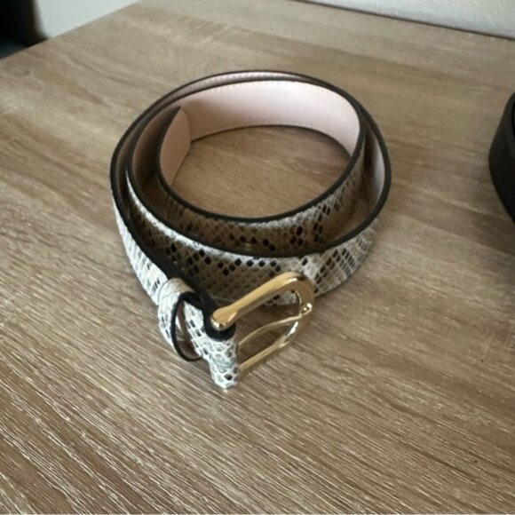 H&M Belt Bundle – Black & Snakeskin Gold Buckle Belts – Size Small - Picture 2 of 4